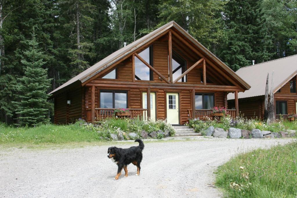 Birch Meadows Lodge B&B Fernie Εξωτερικό φωτογραφία